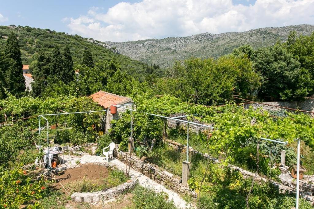 Guest House Zaton - Zaton Veliki Экстерьер фото